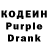 Codein Purple Drank FicusThePottedPlant