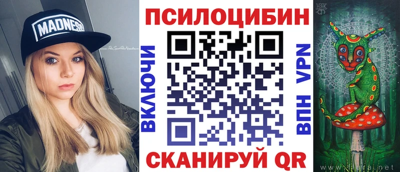 Псилоцибиновые грибы Psilocybe  даркнет как зайти  Цимлянск 